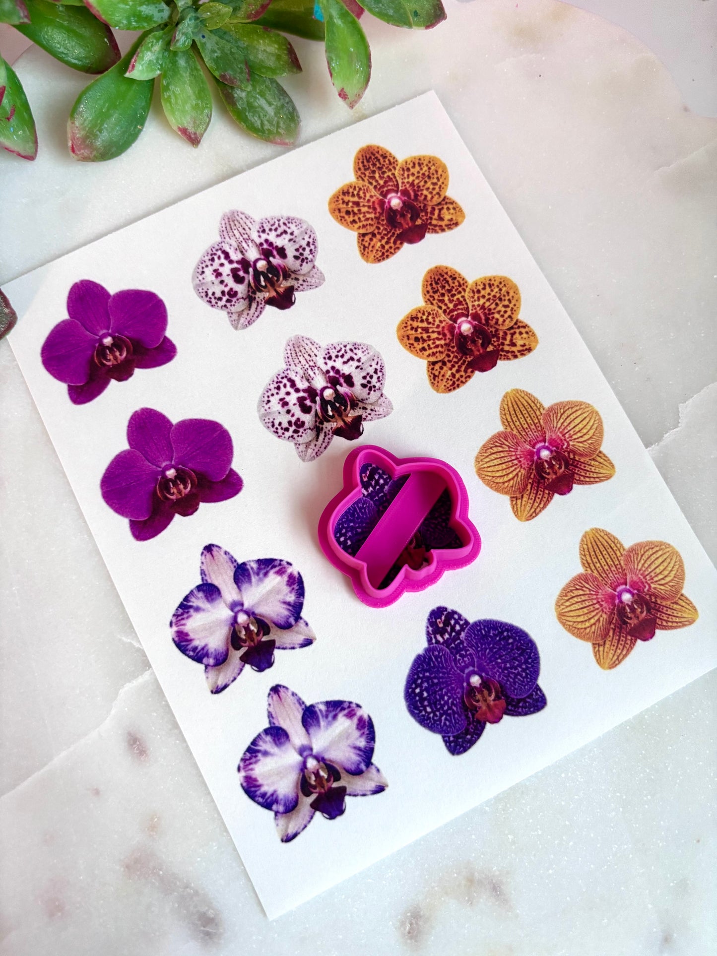 Orchid Transfers & Cutters