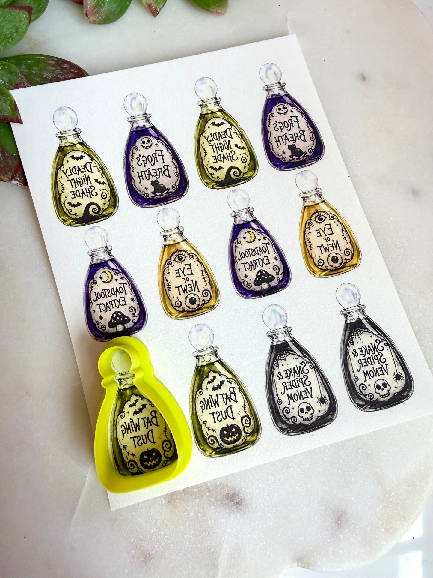 Sally’s Apothecary Transfers & Cutter