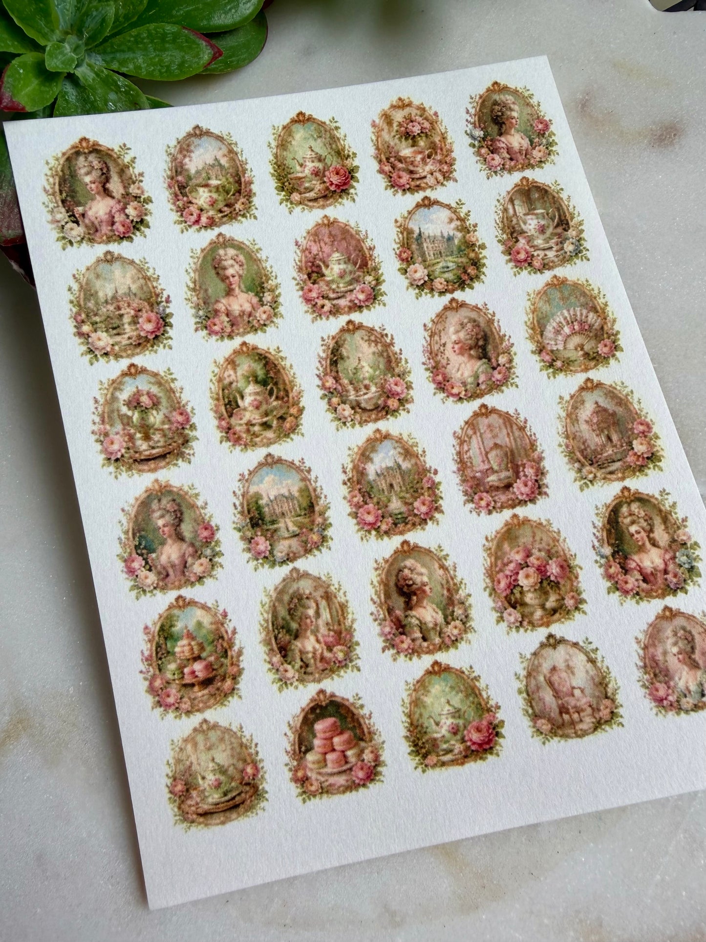 Marie Antoinette Transfer Papers