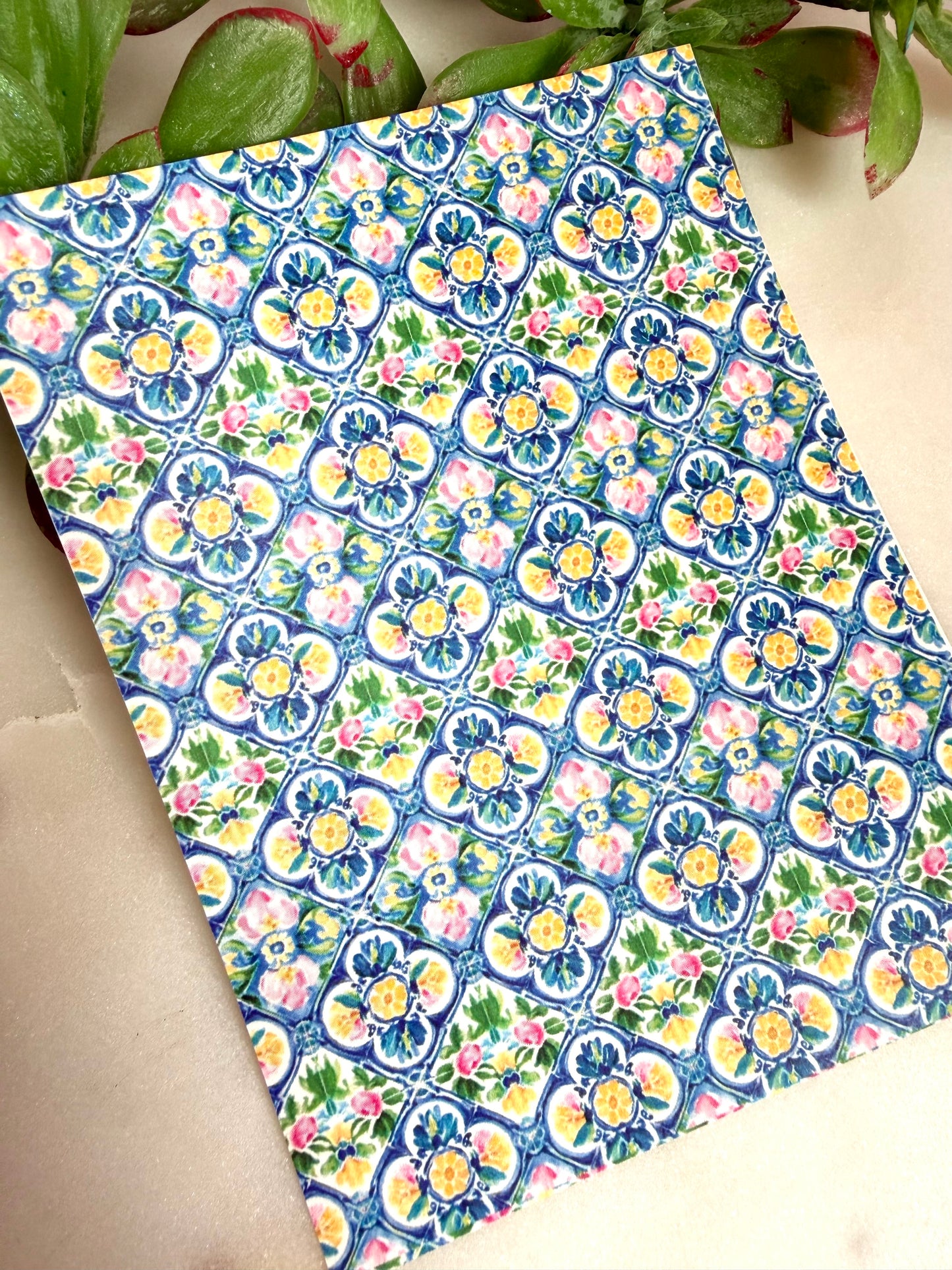 Mediterranean Scallop Transfer Papers