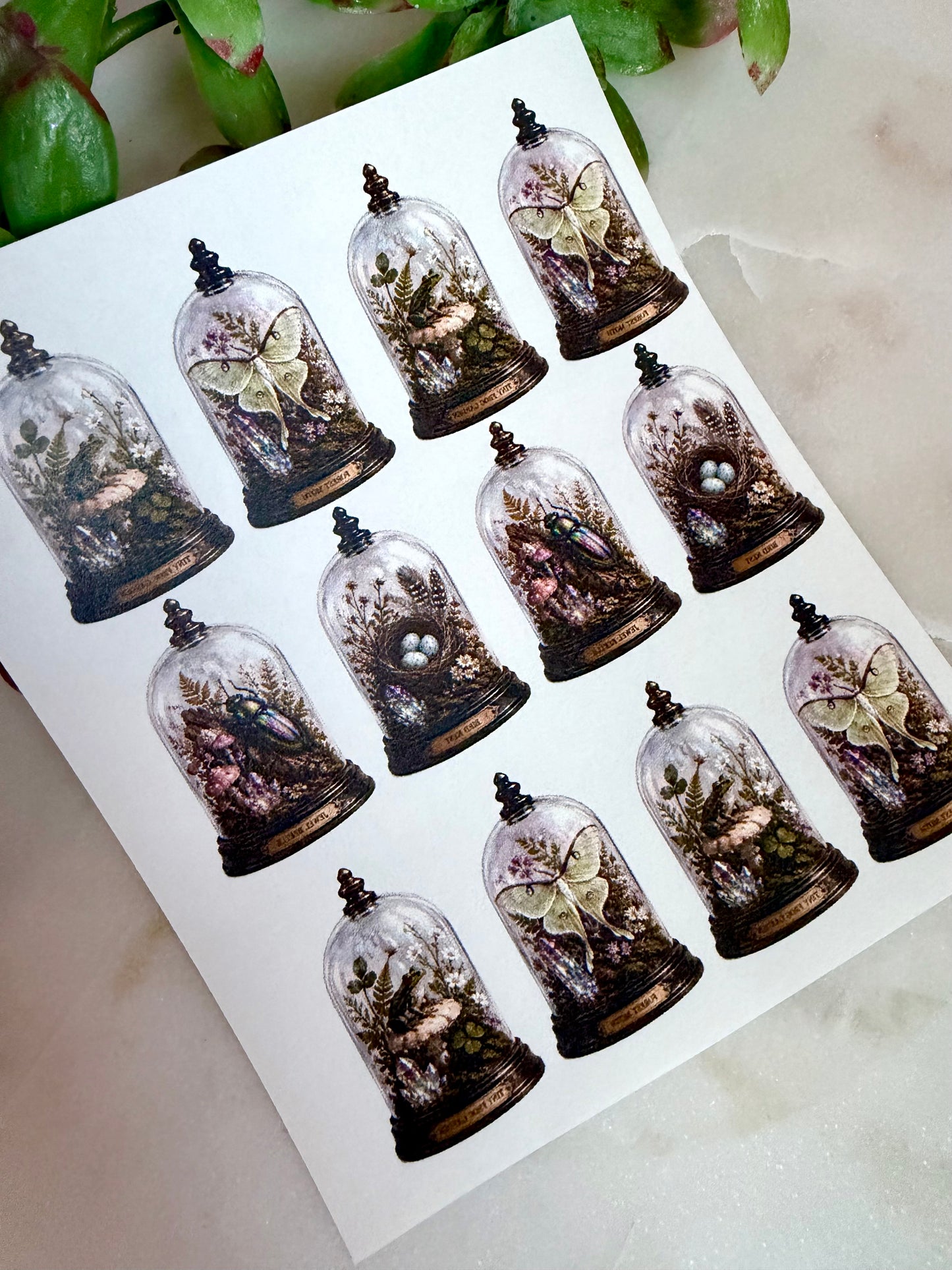 Woodland Cloche Transfer Papers