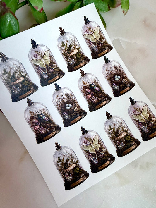 Woodland Cloche Transfer Papers