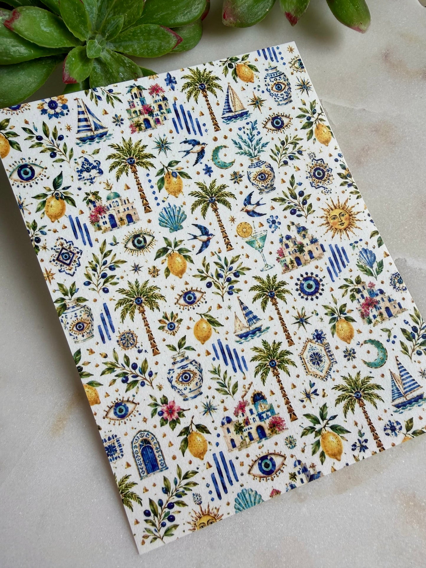 Starry Summer Transfer Papers