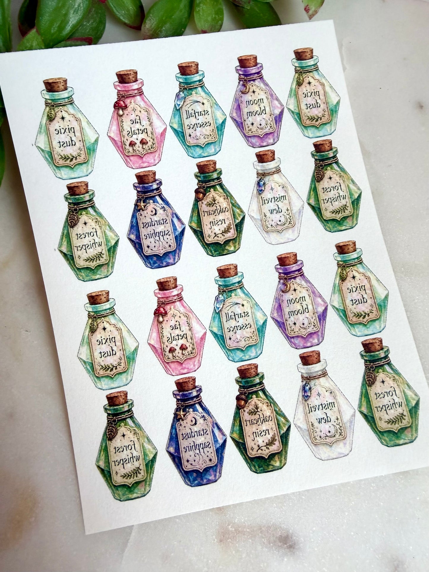 Fairy Apothecary Cutter & Transfers