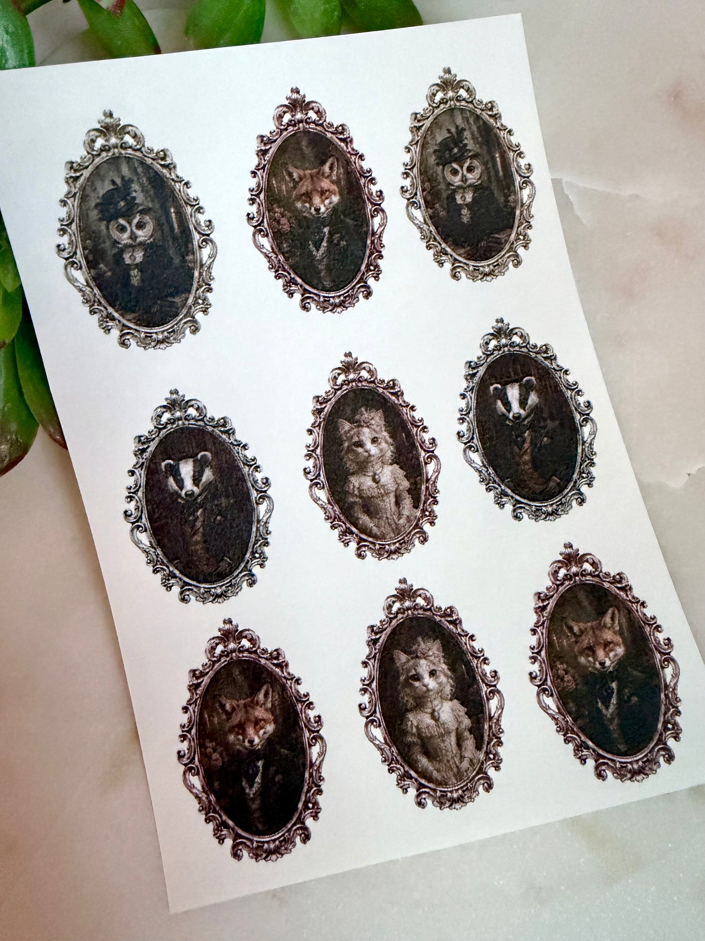Anthropomorphic Vintage Frame Transfers