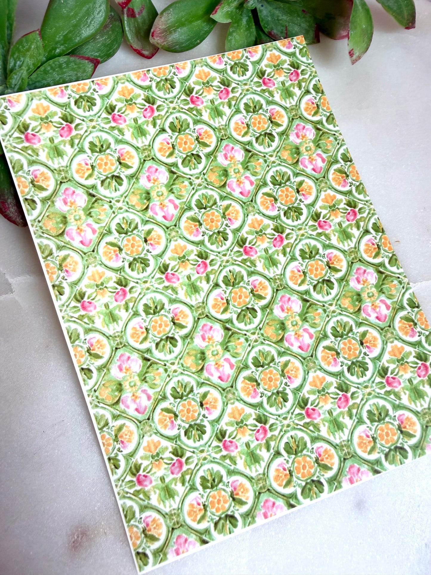 Mediterranean Scallop Transfer Papers