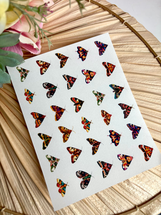 Colorful Moth Charms Transfer Paper
