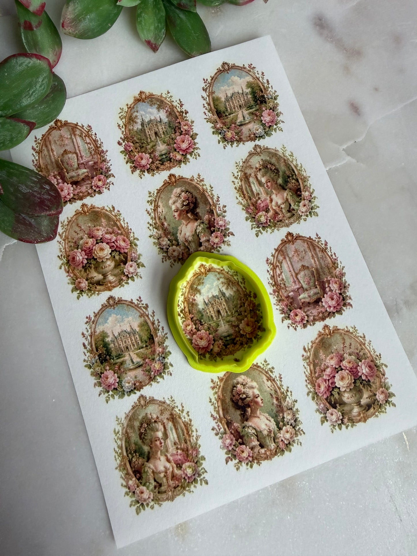Rococo Outline Cutters