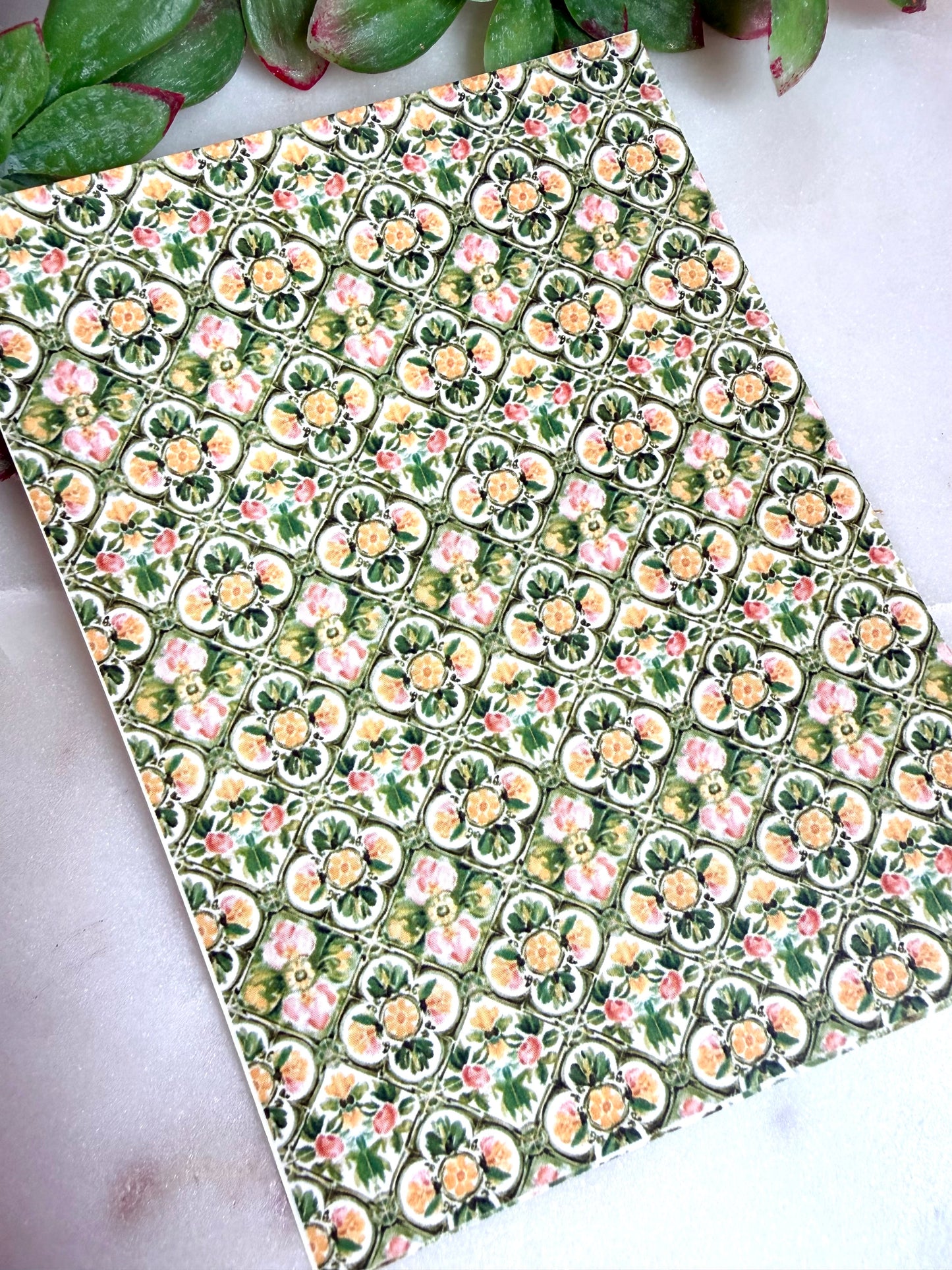 Mediterranean Scallop Transfer Papers