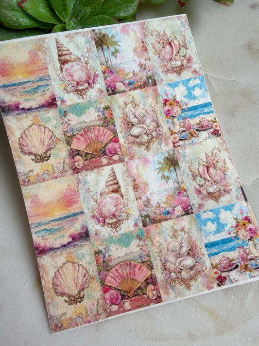 Rococo Shells Tile Transfer Paper
