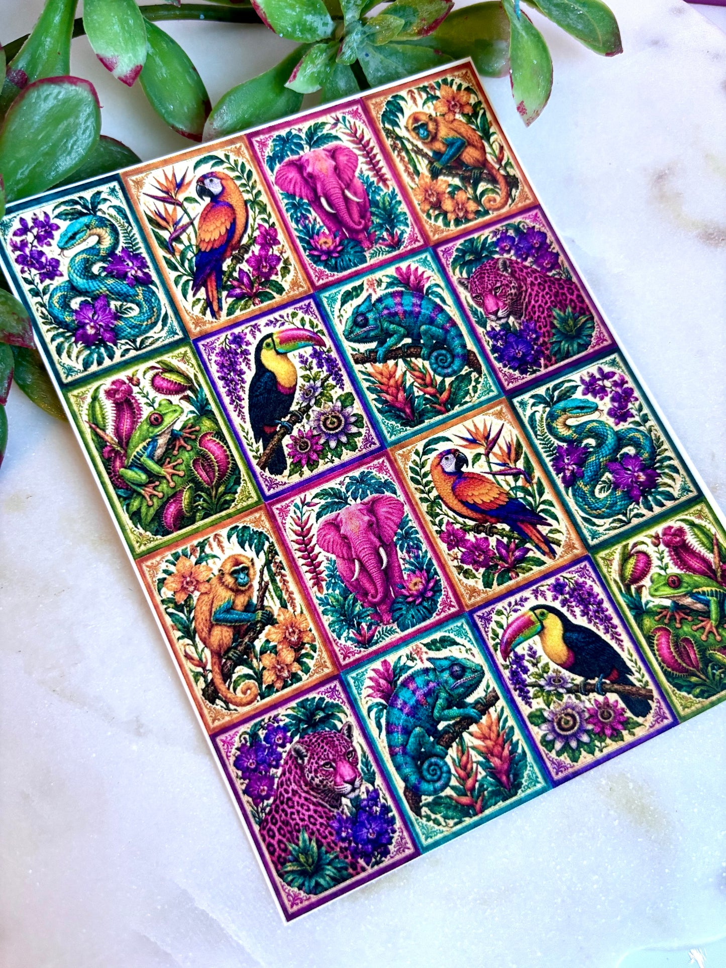 Funky Jungle Animal Tile Transfer Papers