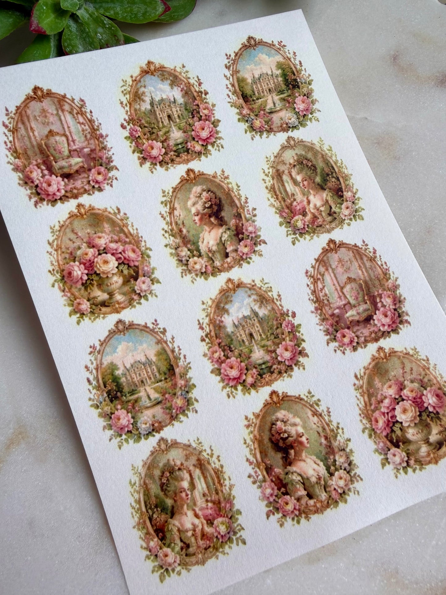 Marie Antoinette Transfer Papers