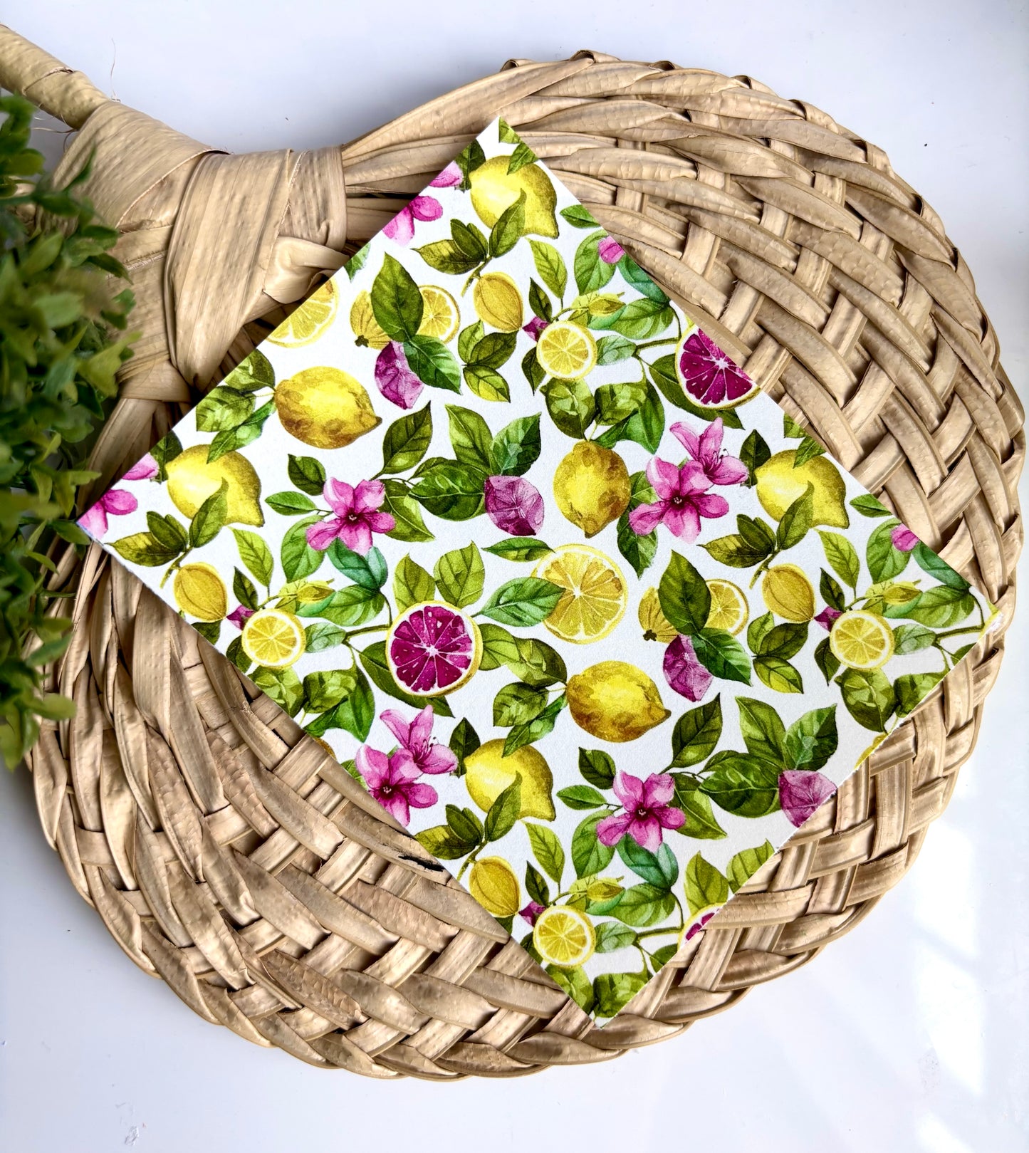 Blood Oranges & Lemons Transfer Papers