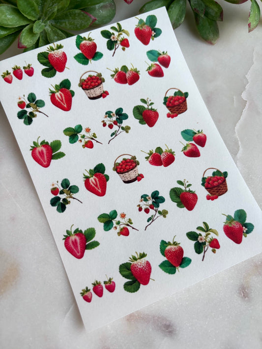 Strawberry Summer Charm Transfer Paper