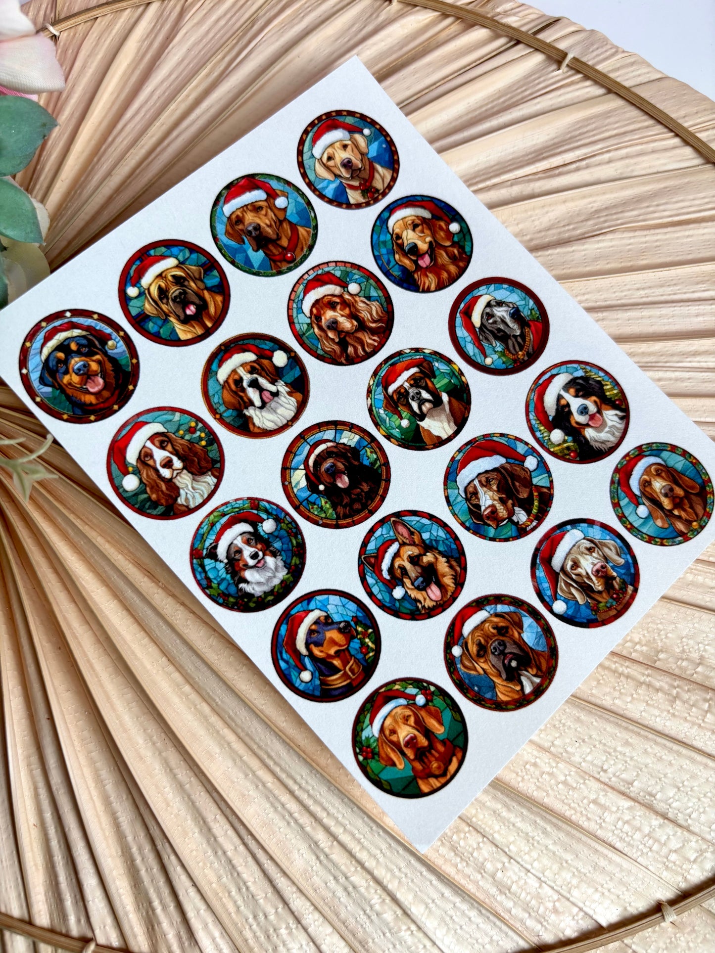 Large Breed SG Transfer Paper
