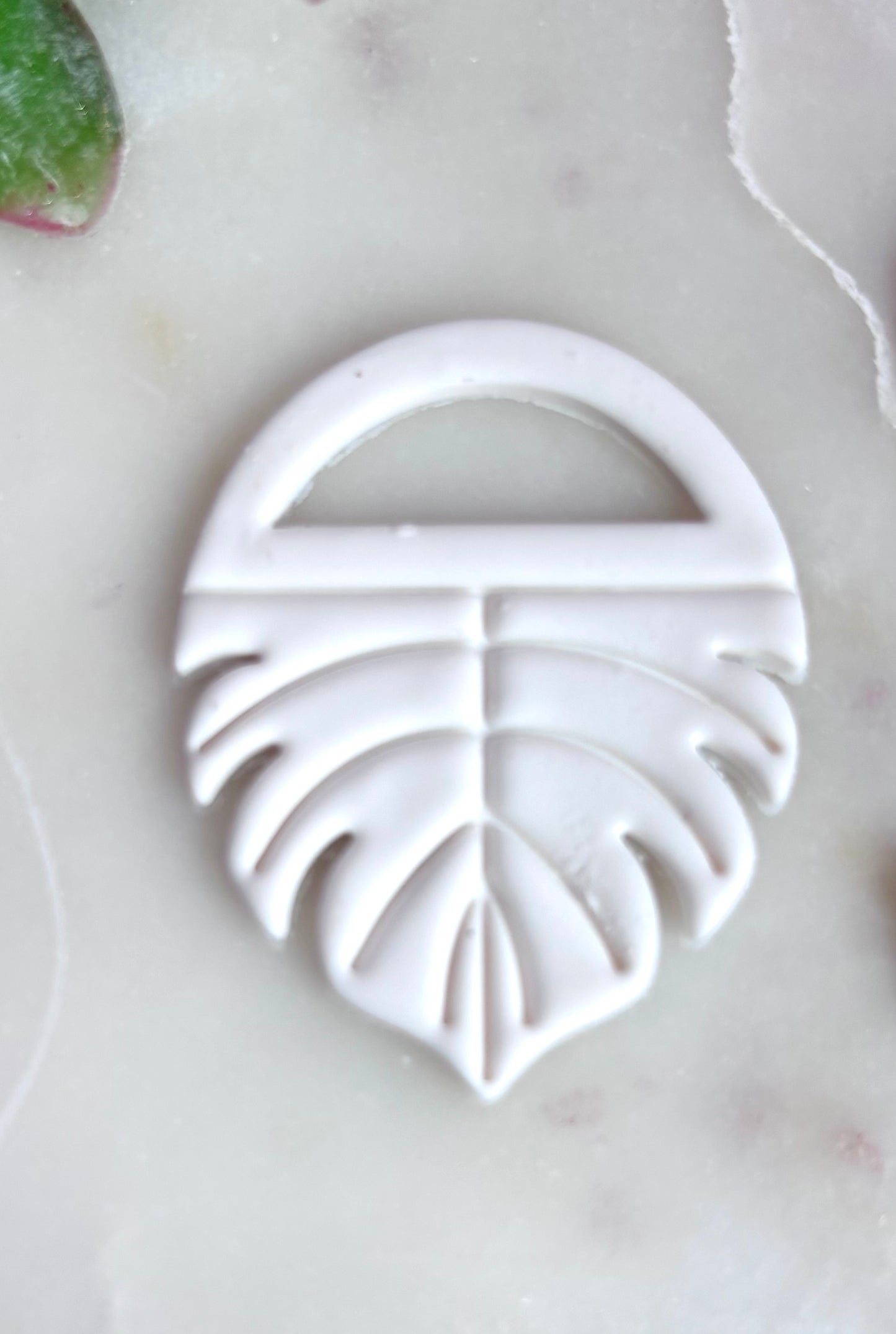 Monstera Hoop Cutter