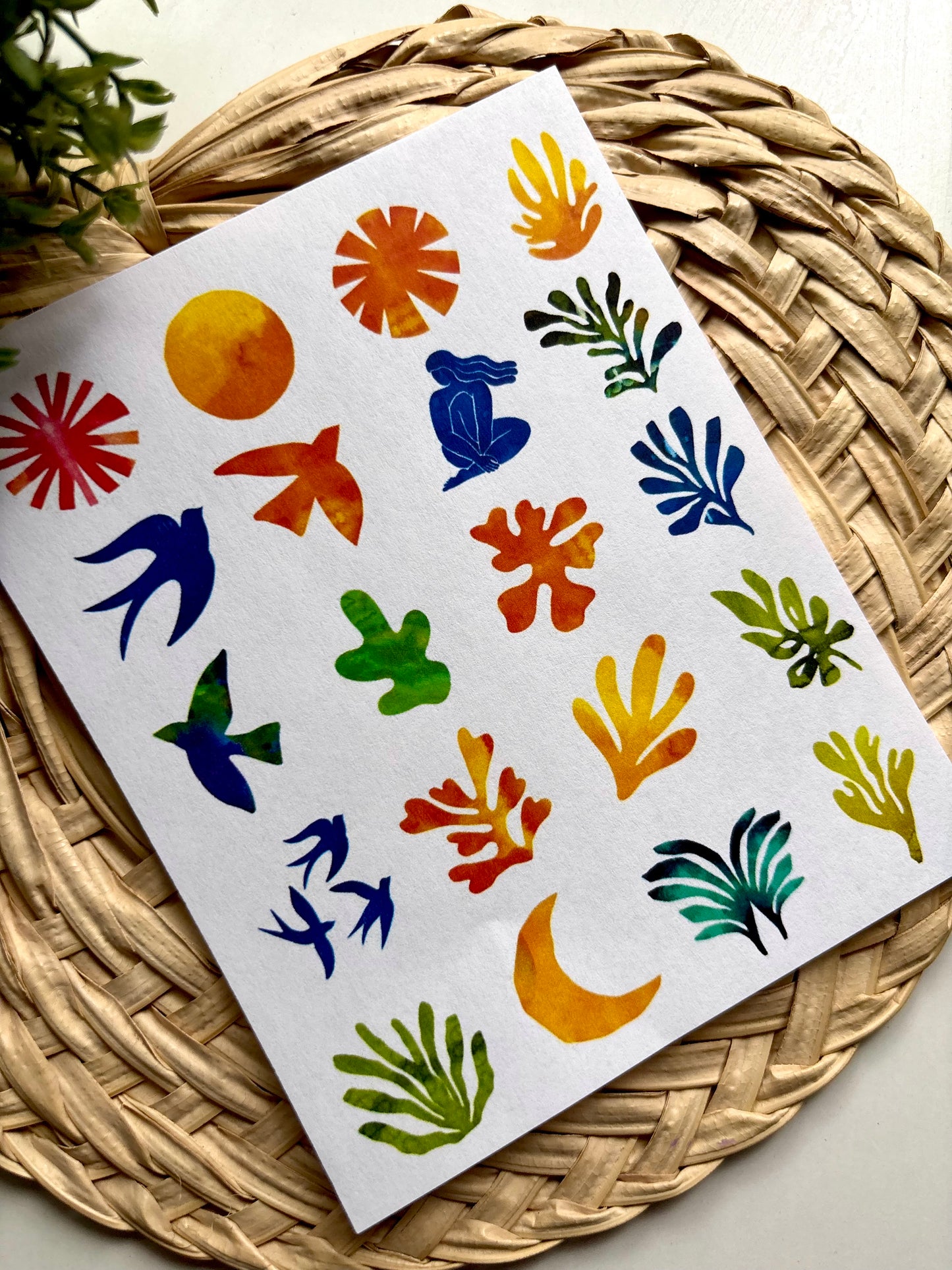 Watercolor Matisse Large Transfer Paper