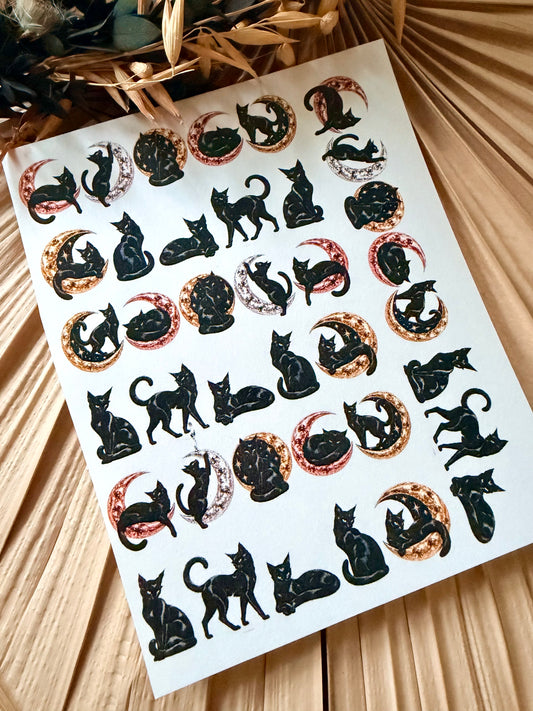 Black Cats Transfer Papers