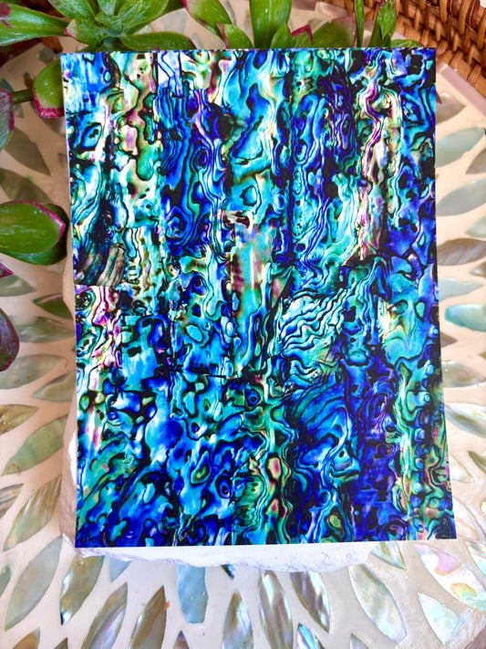 Abalone Shell Transfer Paper