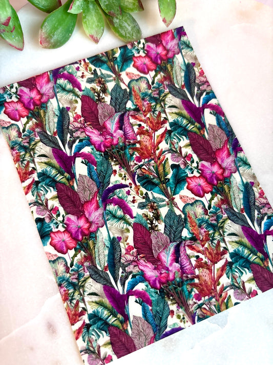 Deep Tropic Transfer Paper
