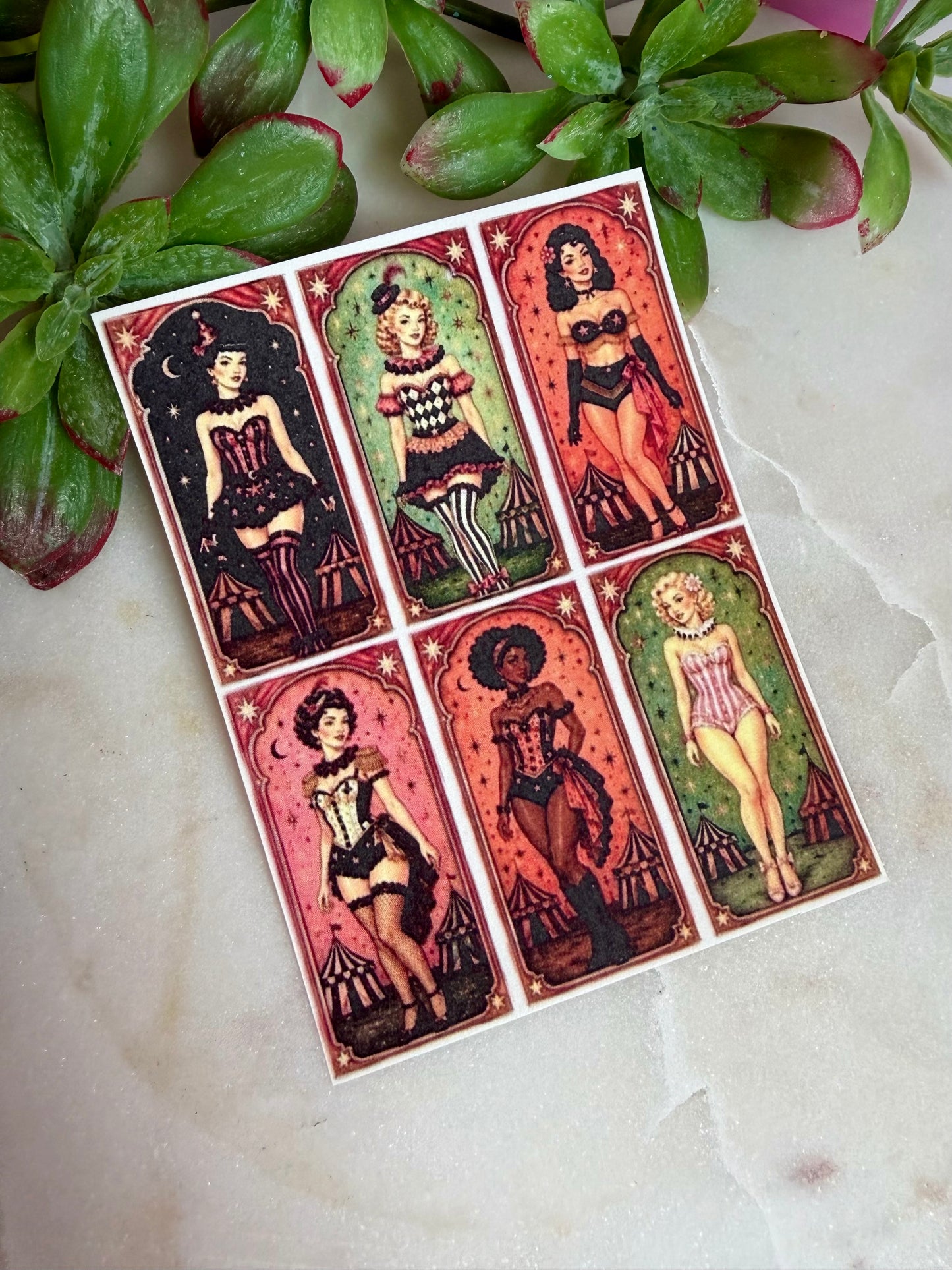 Zigzag Magic Box Cutter & Transfers