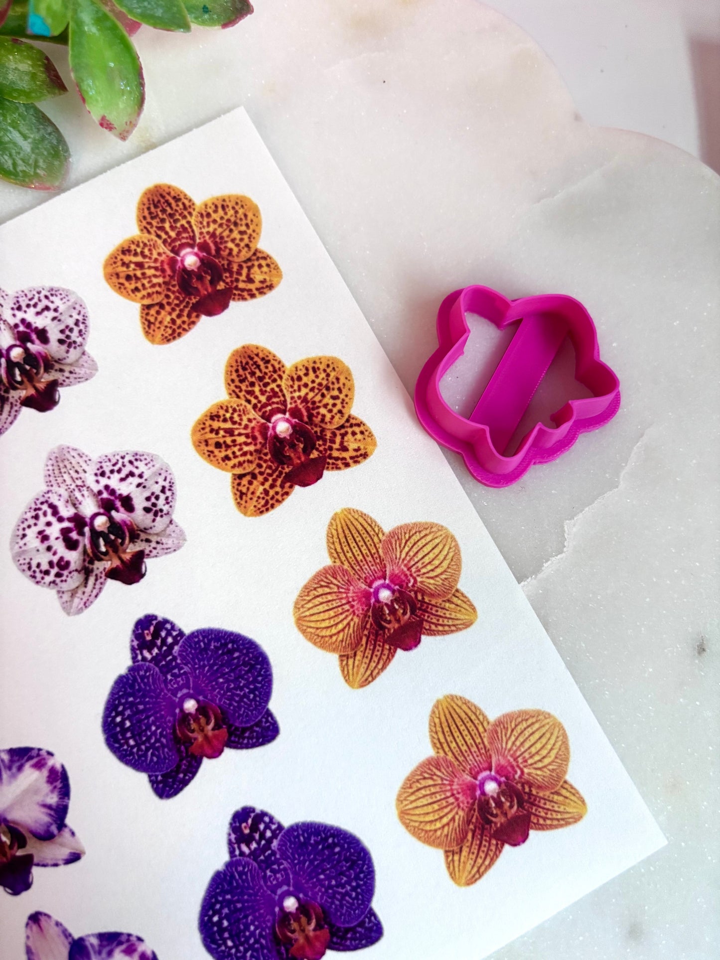Orchid Transfers & Cutters