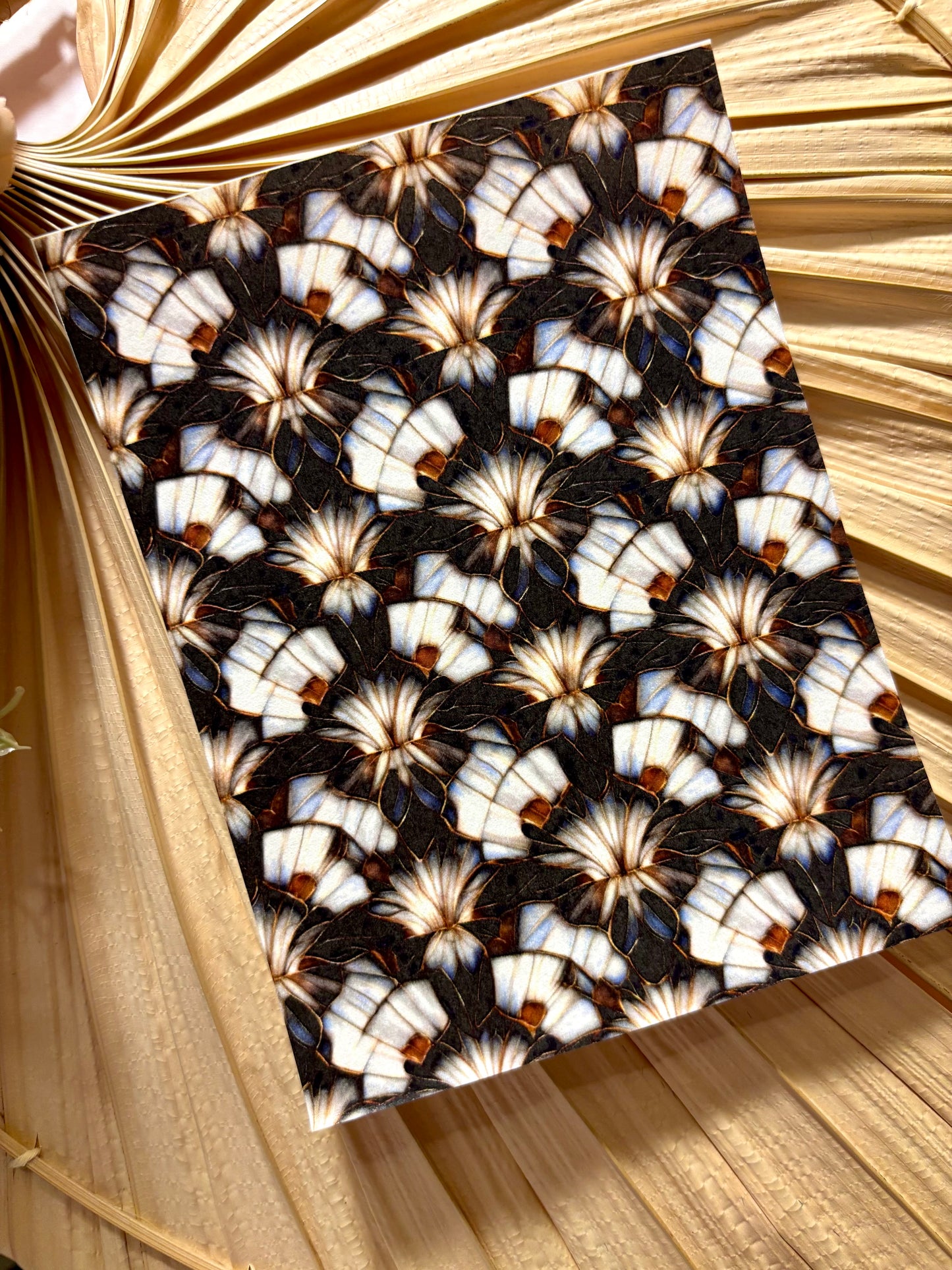 B&W Burst SG Transfer Paper