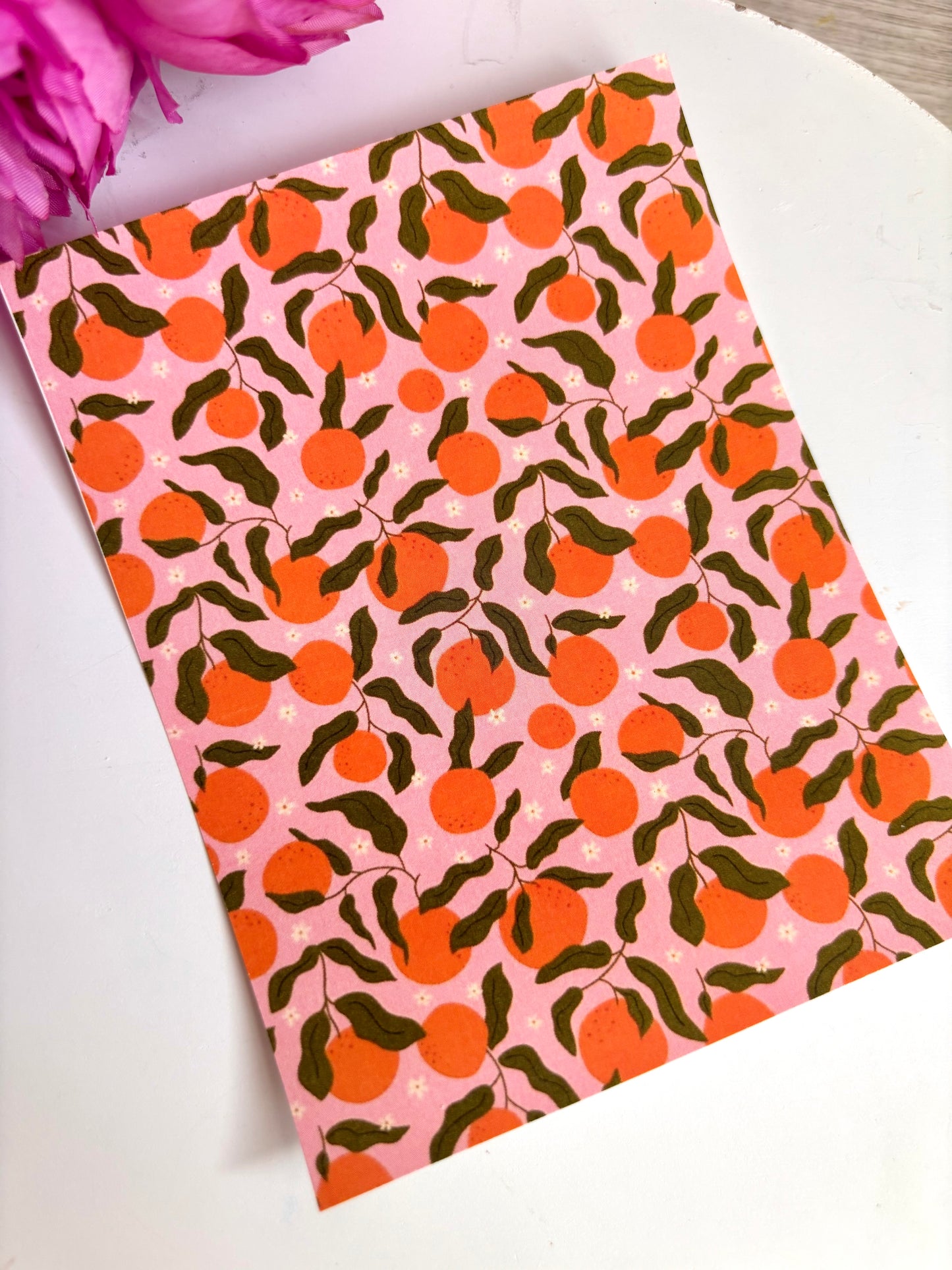 Oranges on Pink Transfer Paper