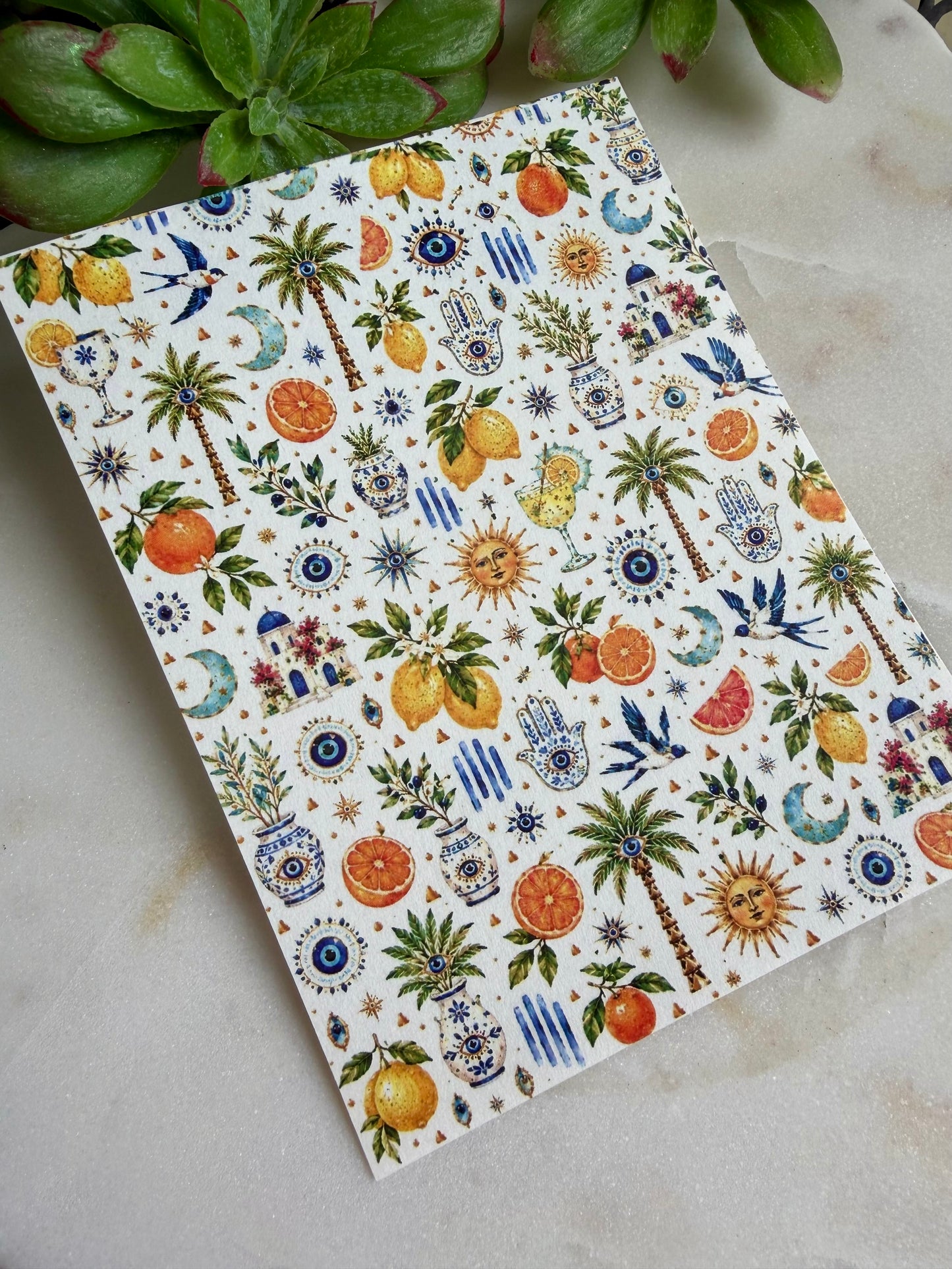 Starry Summer Transfer Papers