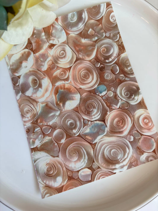 Shell Circles Transfer Paper
