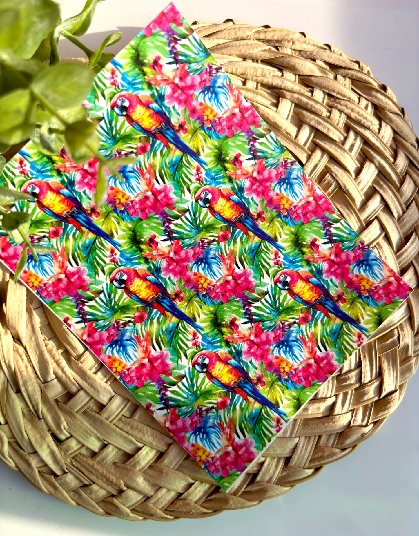 Red Macaw Transfer Paper