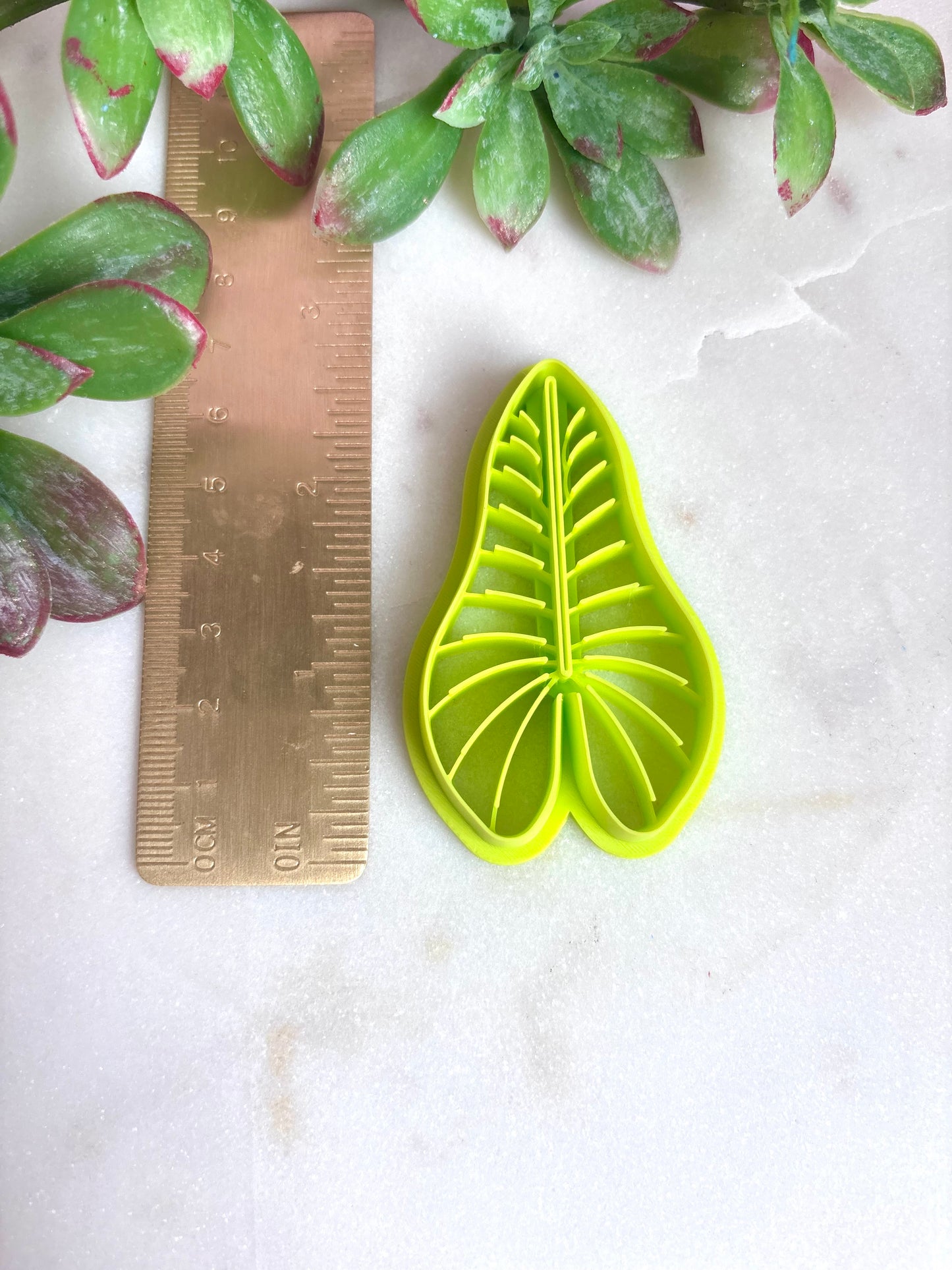 Tropical Large Leaf Cutter