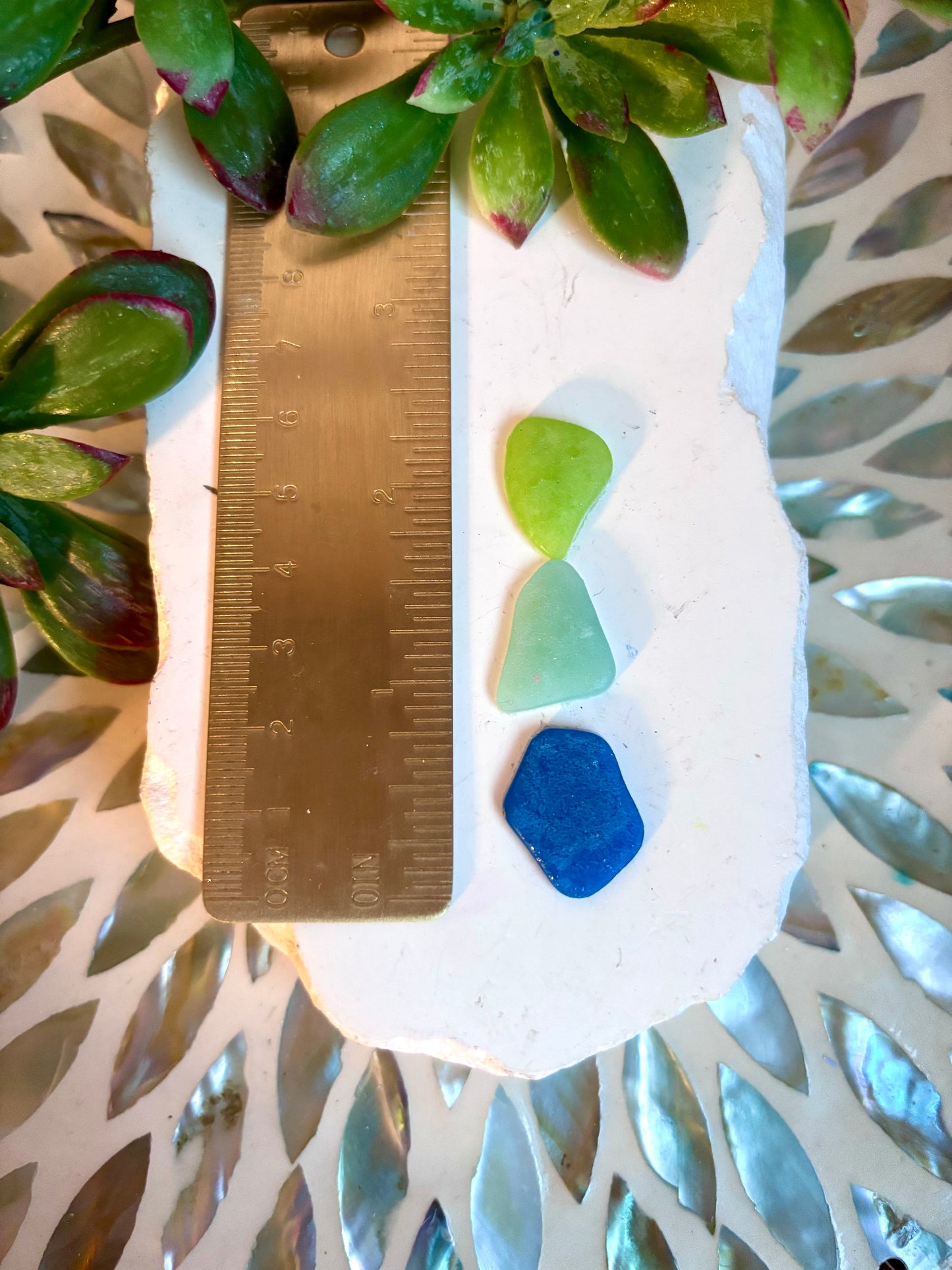 Sea Glass Cutter Set
