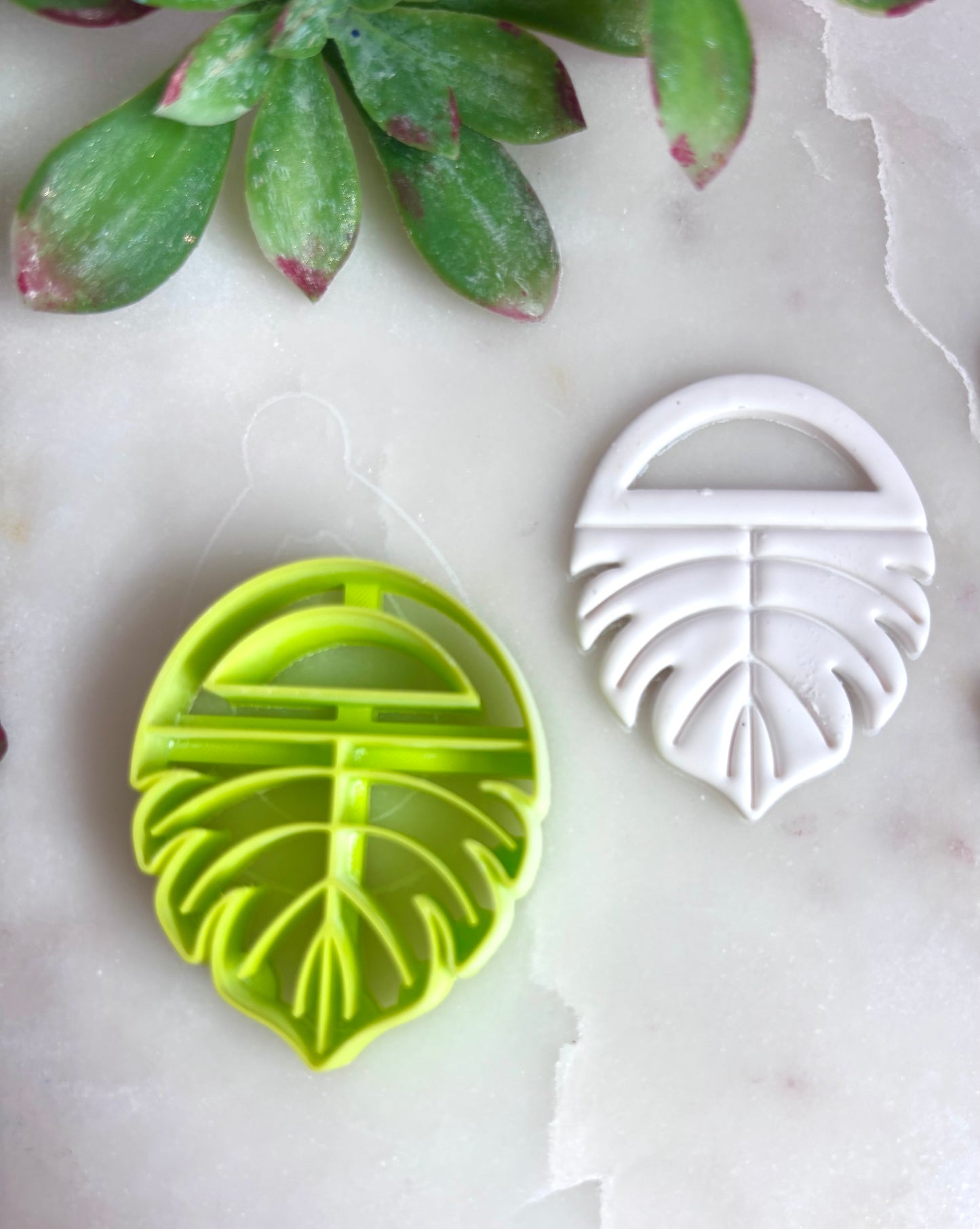Monstera Hoop Cutter