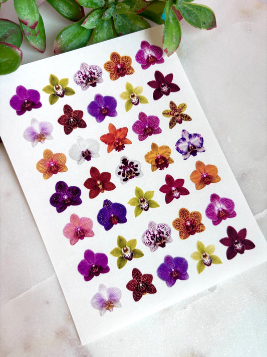 Orchid Charm Transfer Paper