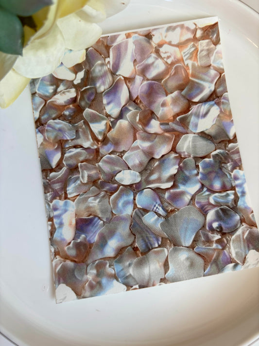 Shell Pieces Transfer Paper