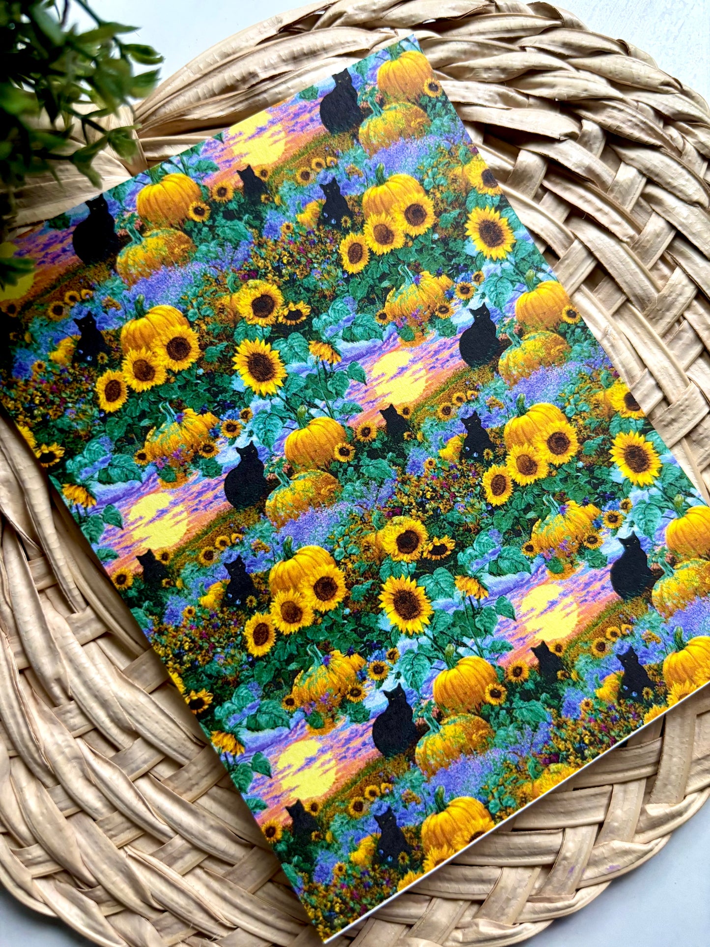 Sunflower Kitty Transfer Paper