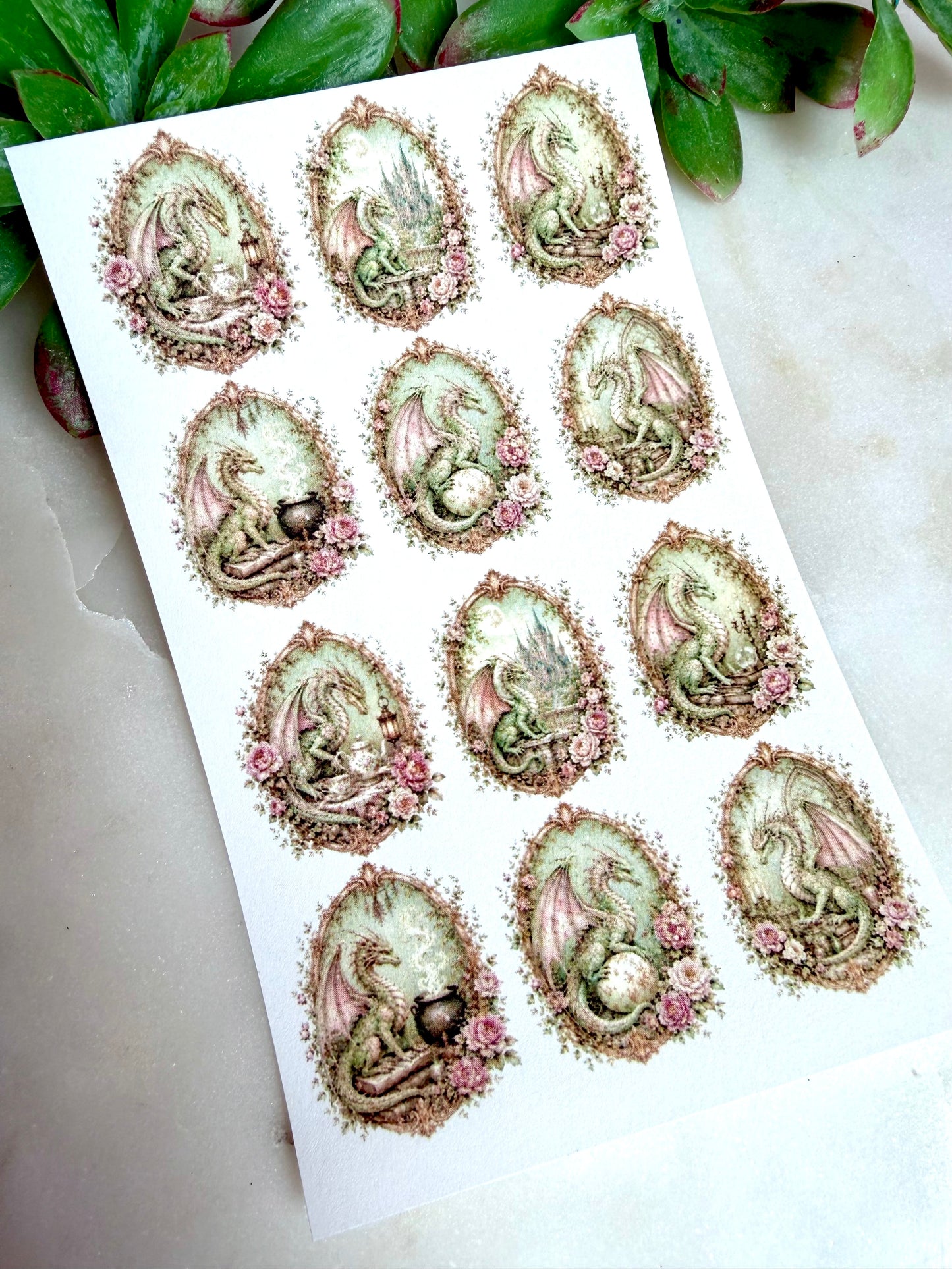 Rococo Dragon Transfer Paper