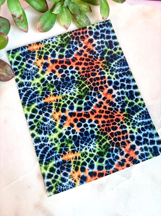 Multi Color Animal Print Transfer Paper