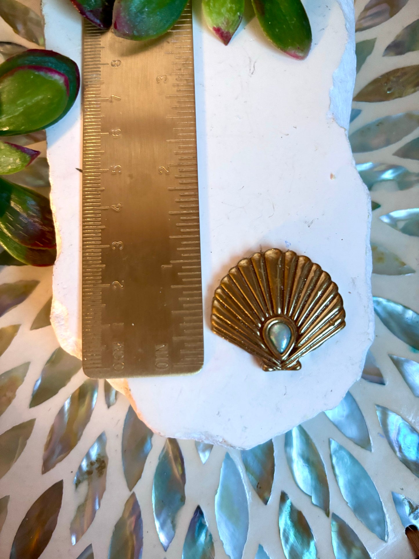 Classic Shell Bezel Cutter