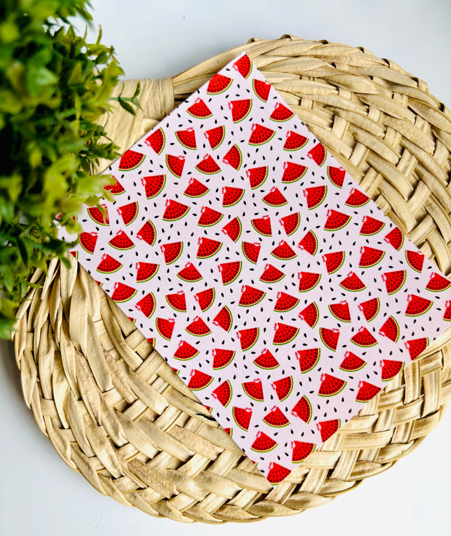 Melon Slice Transfer Paper