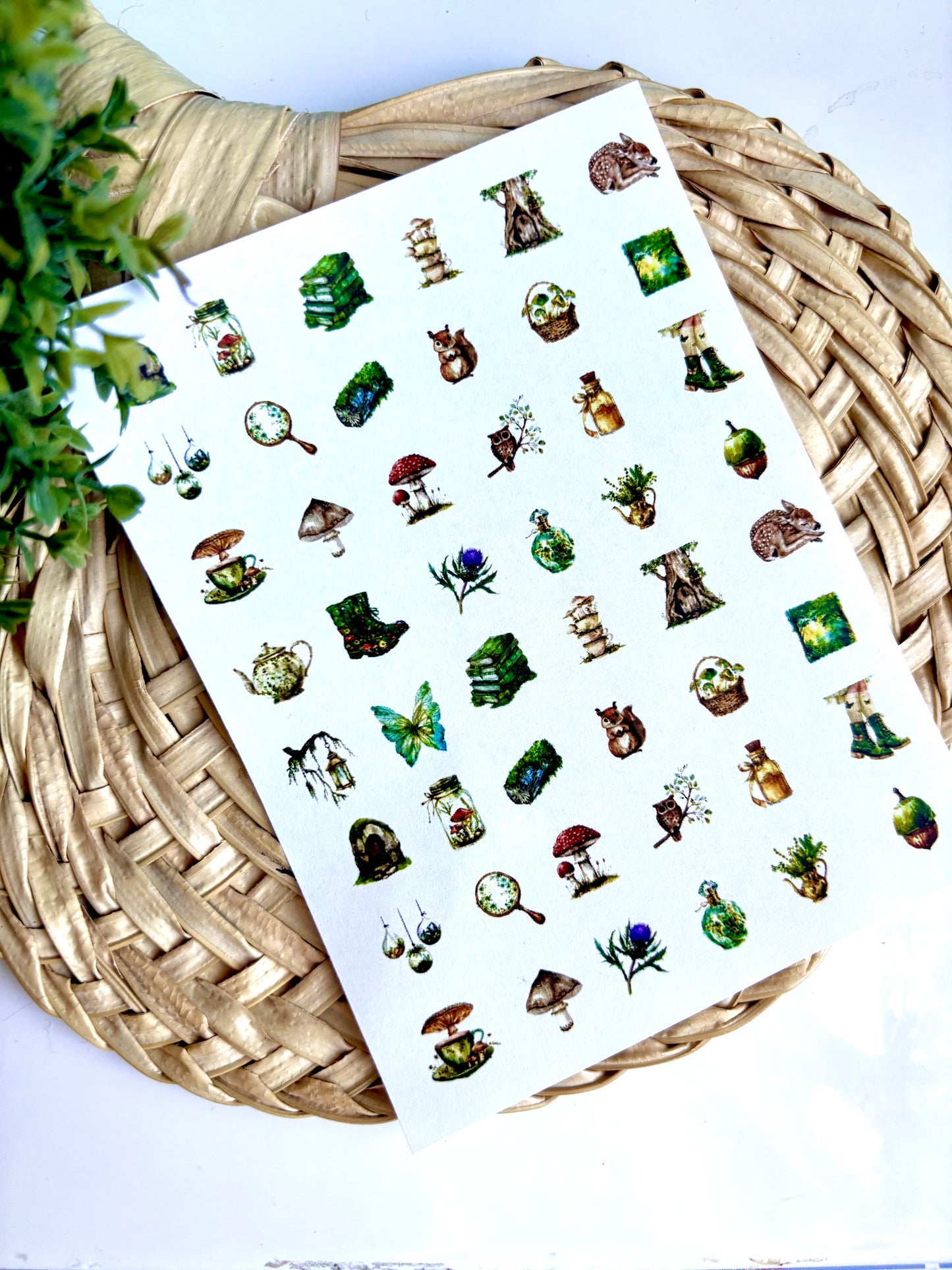 Enchanted Forest A Charm Transfer Paper