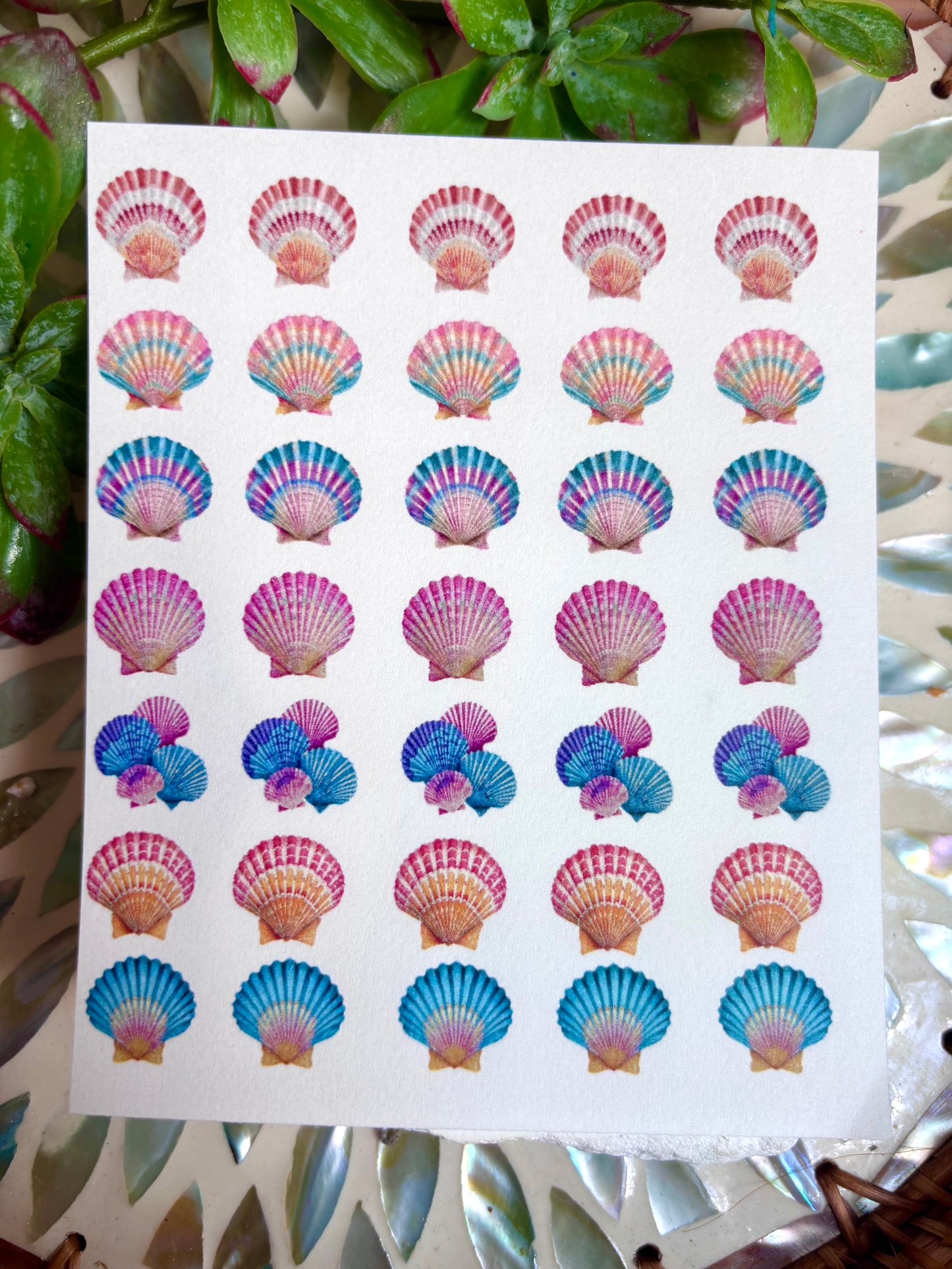 Floral Seashell Charm Transfer