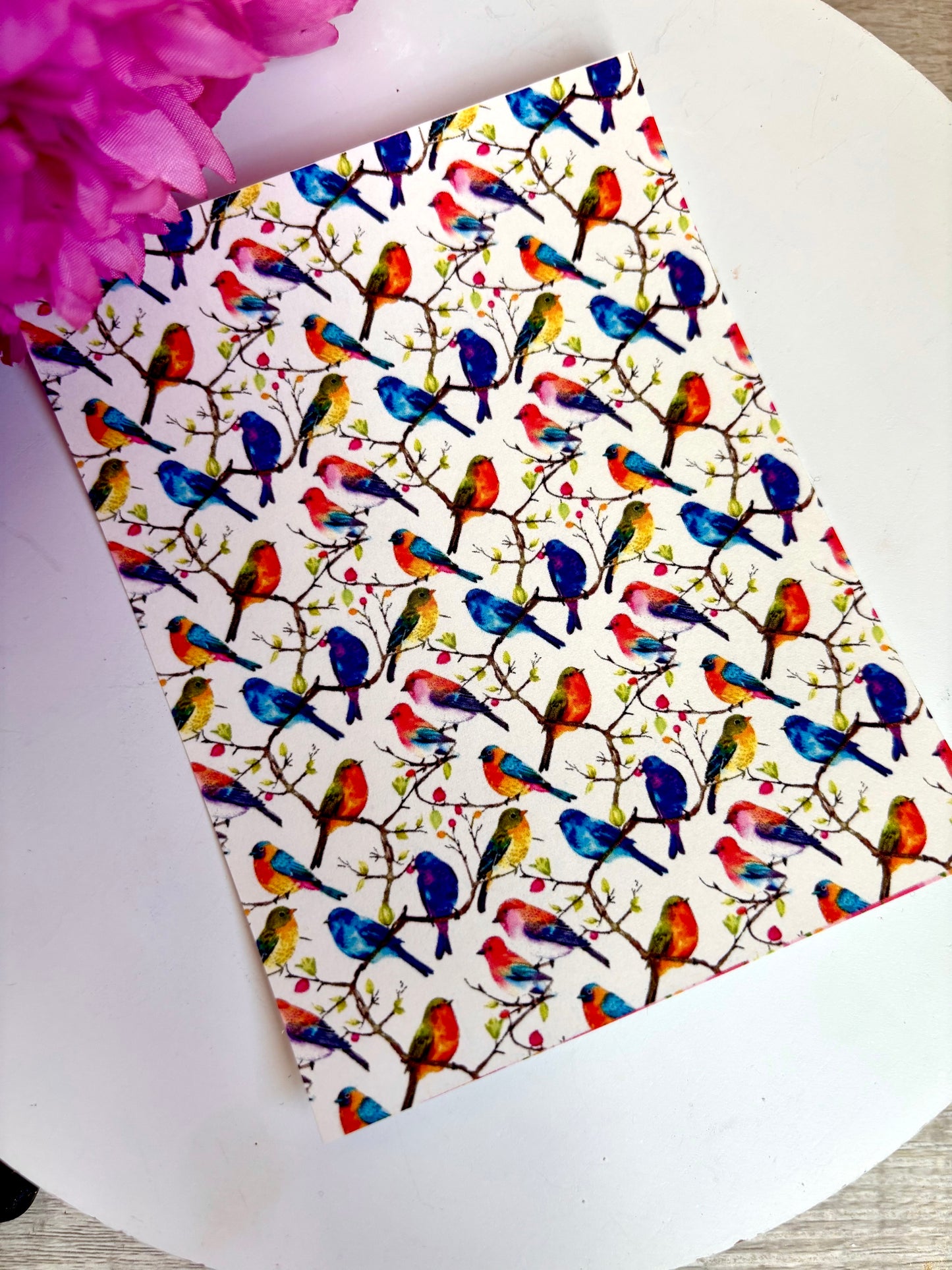 Rainbow Birds Transfer Paper