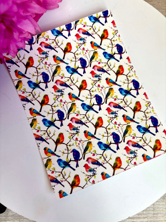 Rainbow Birds Transfer Paper