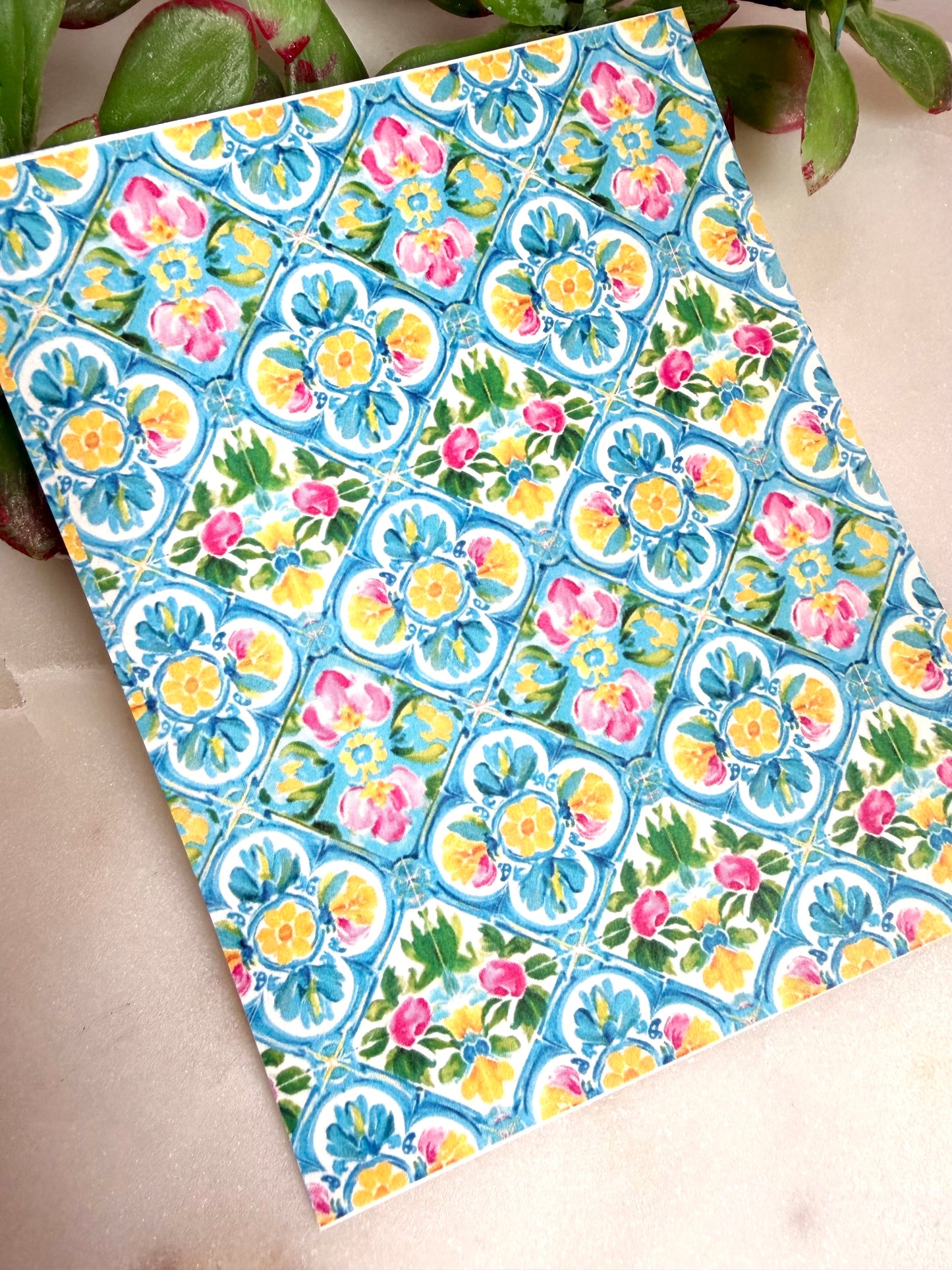Mediterranean Scallop Transfer Papers