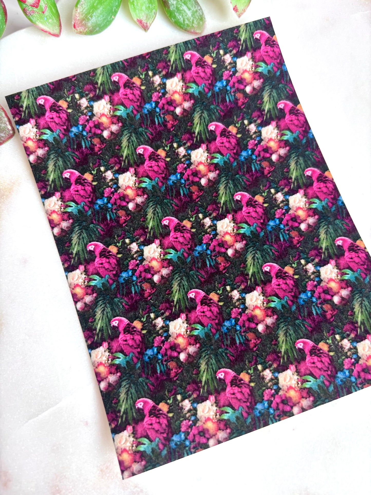 Dark Macaw Transfer Papers