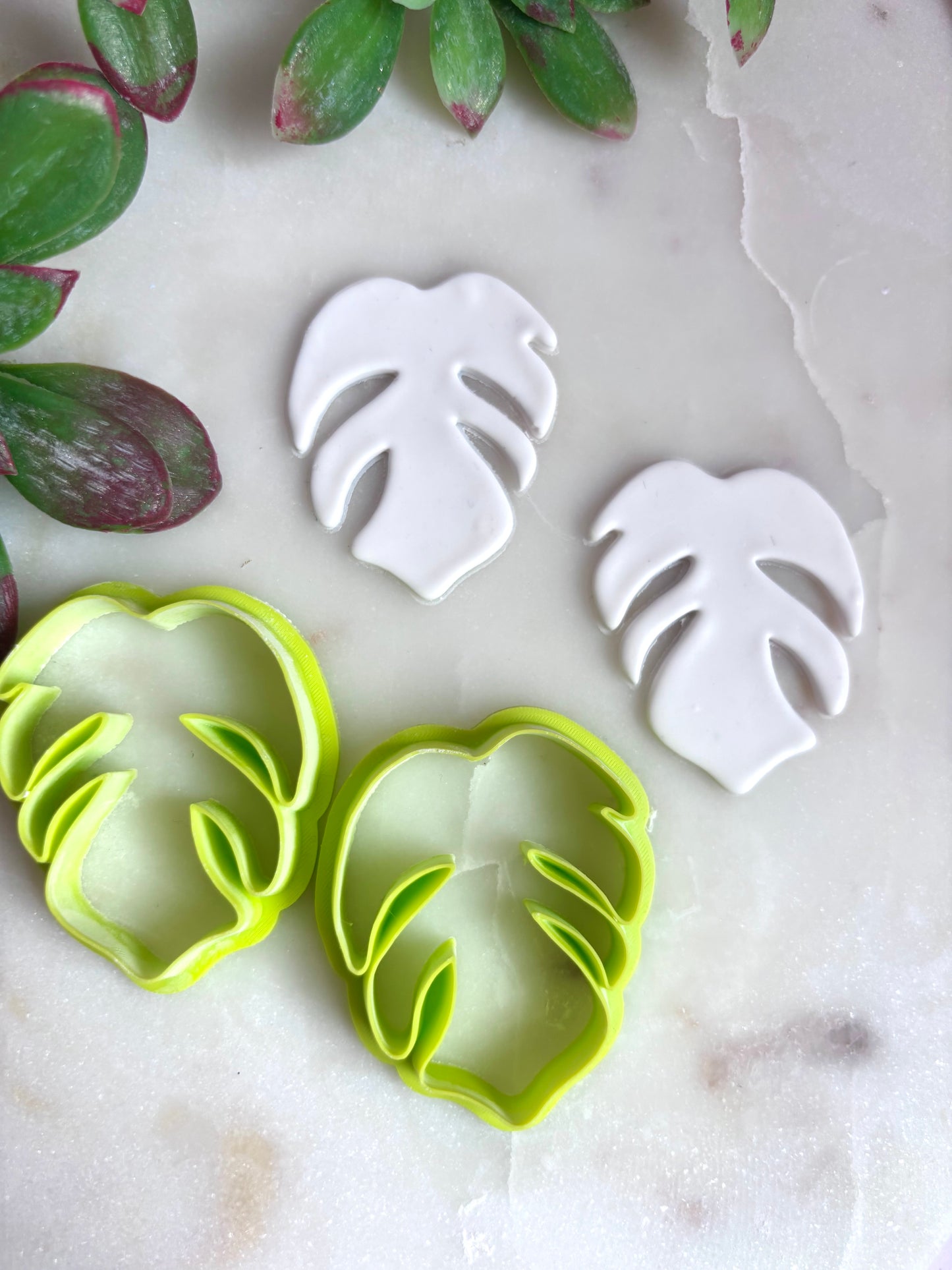 Monstera Simple Cutter Set