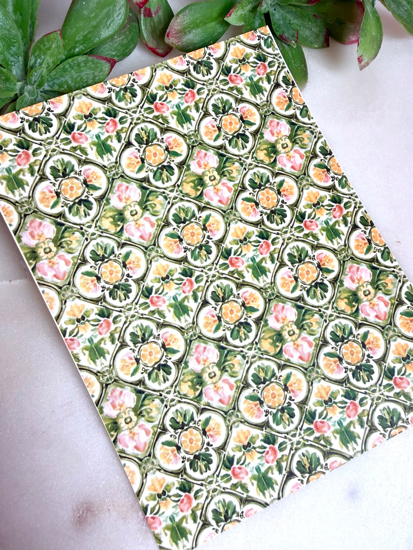 Mediterranean Scallop Transfer Papers