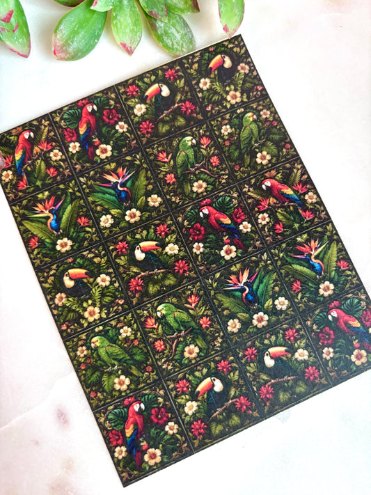 Tropical Bird Tile Transfer Paper